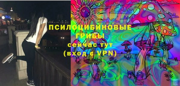 мяу мяу мука Алзамай