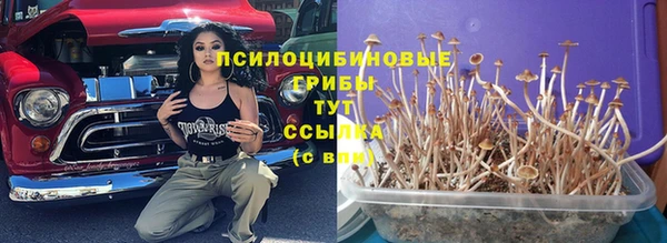 твердый Алексин