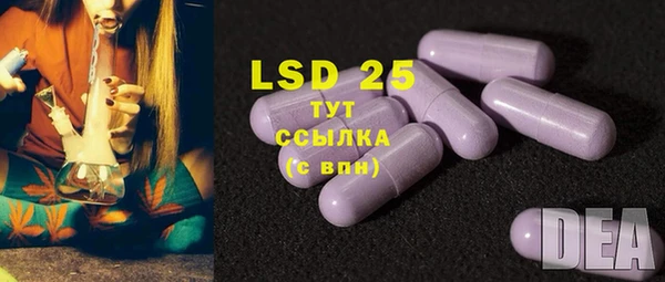 твердый Алексин